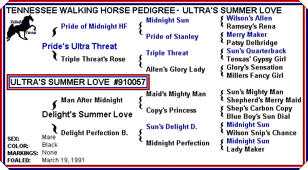 Ultra's Summer Love