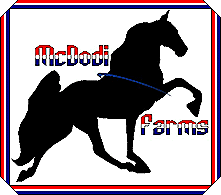 McDodi Farms for top Quality Tennessee Walking Horses in Texas.