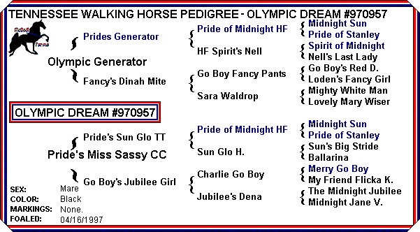 Olympic Dream Pedigree