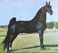 Ebony Masterpiece 1962 WGCH