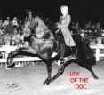 Luck Of The Doc