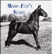 Merry Boy's Secret