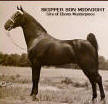 Skipper Son Midnight