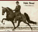 Triple Threat 1965 WG CH