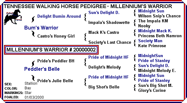 Millennium's Warrior