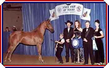 Hallie in the Winners Circle with Brandon