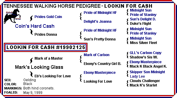 Lookin For Cash Pedigree - click on the gold names for more info.