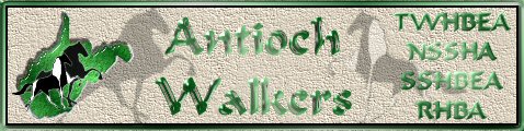 Antioch Walkers