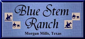 Blue Stem Ranch - Enhancing Partnership & Performance
