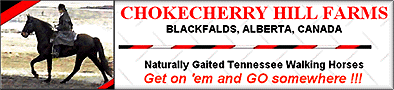 Chokecherry Hill Farm - Blackfalds, Alberta