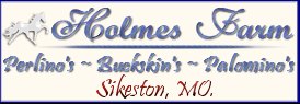 Holmes Farm Buckskins