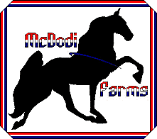 McDodi Farms for top Quality Tennessee Walking Horses in Texas.