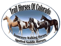 Trail Horses Of Colorado
